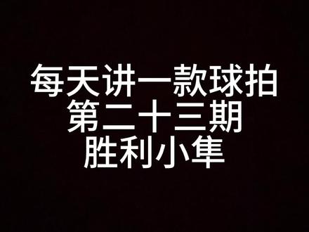 第二十三期:胜利小隼
#羽毛球拍 #羽毛球 #羽拍 #一起打羽毛球 #球拍 @. ..