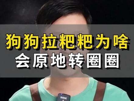 狗狗拉粑粑为啥会原地转圈圈? #狗狗 #养狗经验分享 #科学养宠攻略