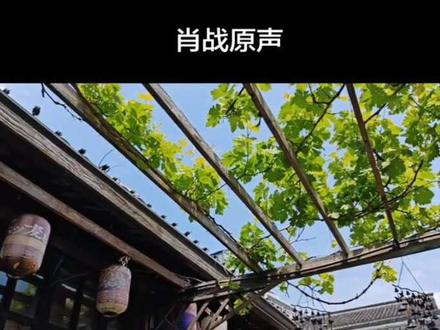 喜欢听他说……#肖战#采访