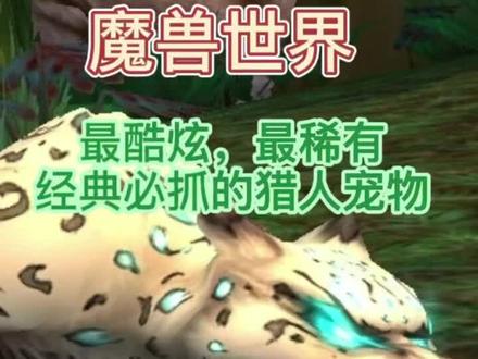 魔兽世界最酷炫,最稀有,经典必抓的猎人宠物-洛卡纳哈-持续更新中#魔兽青春 #一起打游戏 #为了部落 #游戏精彩时刻 #魔兽世界怀旧服 #wow #灵魂兽 #豹 #视觉震撼 #特效 #新手必看 #诺森德 #攻略