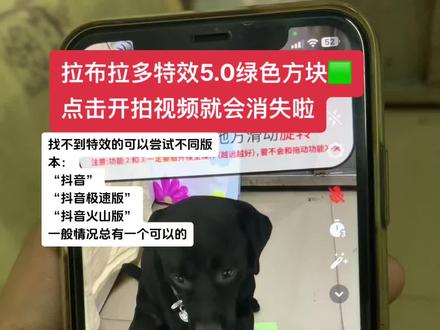 宝子们的疑问:
拉布拉多特效绿色方块,拉布拉多特效5.0下面的绿色怎么去除?
拉布拉多特效绿色怎么去掉?
黑狗特效绿色?
拉布拉多特效5.0怎么拍摄?
拉布拉多特效下架了吗?没下架。
拉布拉多特效绿布。