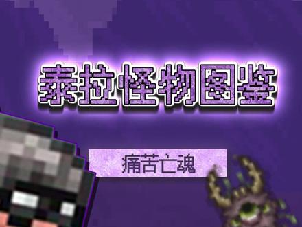 收房租啦!#泰拉瑞亚 #泰拉瑞亚手游