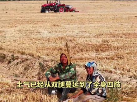 河南高二男生作文《捧起一抔黄土》获省一等奖:“土气”不应该是一个贬义词,长大我要帮助我的父老乡亲。(编辑:vi)#高二学生作文 #农民