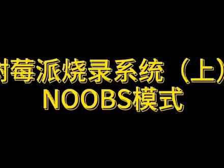 树莓派烧录系统(上)NOOBS模式#树莓派 #数码好物推荐 @抖音小助手 @DOU+小助手