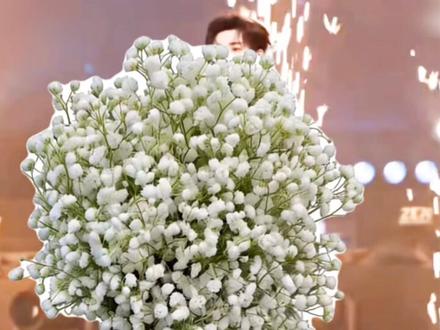 #时代少年团 用不同花打开时代少年团