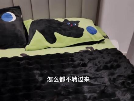 小猫咪挺好看的,大大方方别害羞嘛 #这样的小猫到底怎么才能得到 #小黑猫 #萌宠出道计划