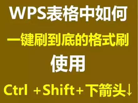 WPS表格中如何一键刷到底的格式刷,使用Ctrl +Shift+下箭头↓