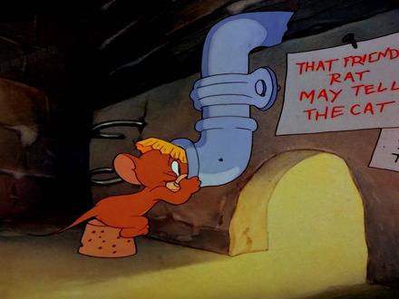 动画界的表情包顶流!猫和老鼠绝对是世界公认的万恶之源! #猫和老鼠 #表情包 #万恶之源 #汤姆