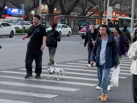 大城市里的人养的狗就是不一样 #机器狗 #科技改变生活