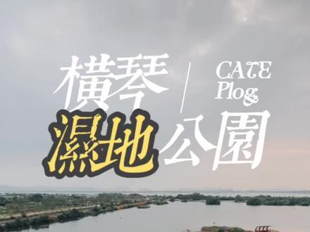 #旅在珠海 芒洲湿地公园(珠海横琴)#国庆心动打卡地 #亲子游玩好去处