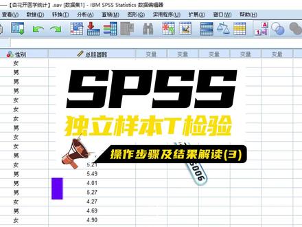SPSS数据分析课程SPSS独立样本T检验在SPSS中操作及结果解读(3) #spss数据分析