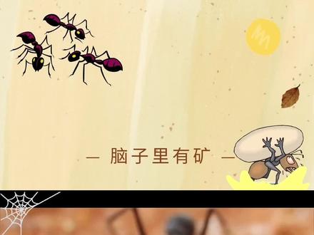 可以与牛蚁媲美的猎镰猛蚁、群落小、单兵作战、观赏性强堪称完美 #宠物蚂蚁 #猎镰猛蚁 #好奇昆虫 #奇妙的动物