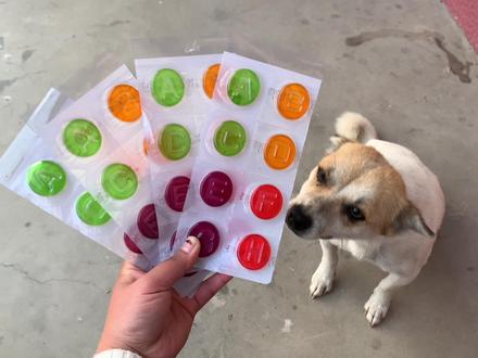 ABCDEFG小软糖来喽,怎么会变成这样啊? #棒棒糖 #软糖 #狗狗的心思都写在脸上了 #糖果日记