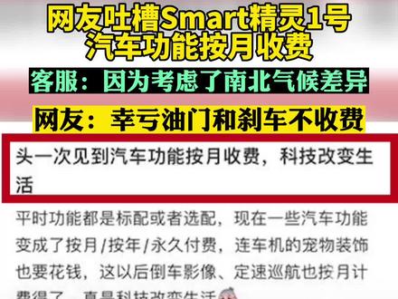 网友吐槽精灵1号汽车功能按月收费