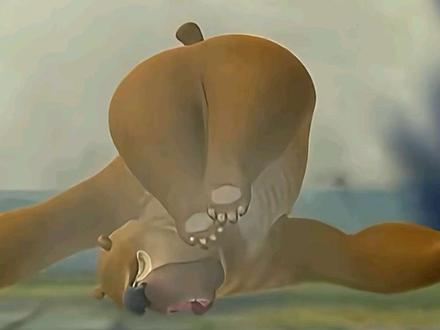 愿得一人心 白首不相离#熊二