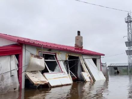 虽然房子有点惨,但是终于见到心心念念的鲟鳇鱼了#记录生活 #农村生活 #鲟鳇鱼 #农村 #又是一小天
