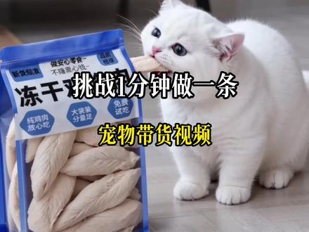 用AI做宠物带货视频,一分钟轻松搞定,保姆级教程,小白也能快速学会 #宠物带货 #宠物博主 #宠物模特 #宠物话题 #AI视频