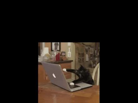 还在等什么赶快来 #疯狂毛线