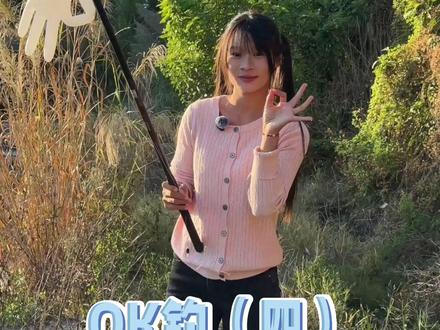 OK上鱼#钓鱼人就是这么疯狂 #OK钓鱼法#鱼栖林极轻小综合