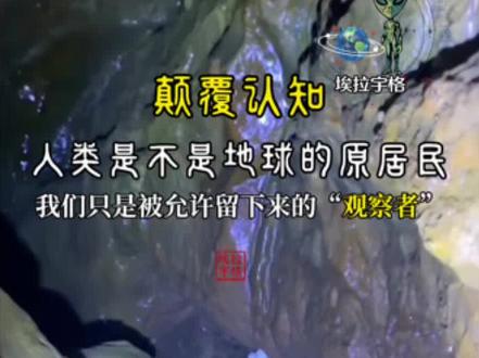 未公开|地下洞穴《它们或许从未离开过地球》 他们不是第一次出现。
很多古老山洞、地下裂缝、深海区域,都曾留下过无法解释的“白色生命体记录”。可大部分资料,最后都被归为了幻觉。
直到这段画面被再次发现。
有人说,这是1.5维度的小外星生命。它们不会攻击人类,也不会主动接触人类。更像是——一直生活在地球夹层里的“观察者”。
最可怕的不是它们的出现。而是它们看见人类时,没有丝毫惊讶。仿佛早就知道,人类终有一天会走到这里。
——埃拉宇格记录档案
………………………………………..
《免责声明》
本作品为 AI 虚构演绎创作,部分素材来自公开网络并经艺术化处理;所有情节、角色与场景均为虚构幻想,与现实世界及科学事实无任何关联,请勿混淆虚构与真实。
作品内容源自团队对未知主题的创意构想,不代表现实立场或事实陈述。我们严格遵守法律法规及平台规范,确保内容纯净、无虚假、无误导、无恐怖或煽动性质,仅供娱乐与审美体验。如视频或文字存在不当之处,或无意触及第三方权益,请通过平台渠道联系我们“我们将及时配合修正或删除”。
#外星人 #不明飞行物 #ufo #火星人 #埃拉宇格