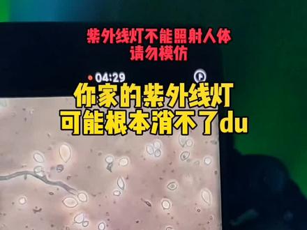 年底大扫除很多人家里会用紫外线给家里消毒,但要照射多久才有效呢?#显微镜 #细菌 #大扫除