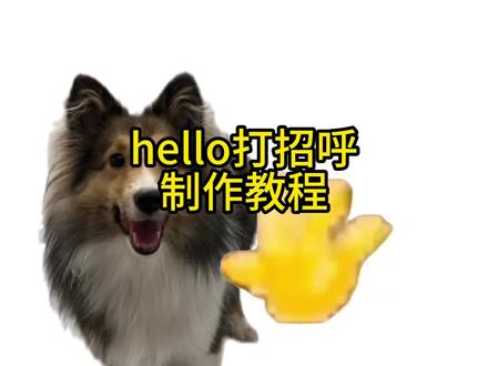 hello音频打招呼教程来啦#剪映 #萌宠 hello音频出处小萝卜 100元hello 小猫叫声 hello小猫打招呼 hello原视频 hello小猫图片 hello原视频hello表情包 hello打招呼音频出处 小猫hello