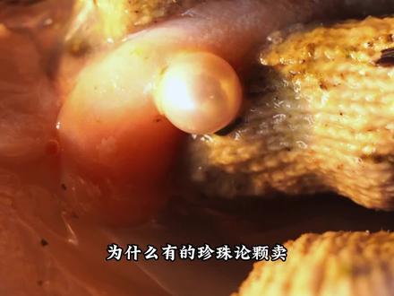 “有核”与“无核”珍珠,从出生就有了区别。
#珍珠 #护肤