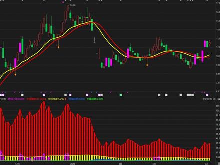 平潭发展:主力洗盘还是出货?最后的忠告 #平潭发展