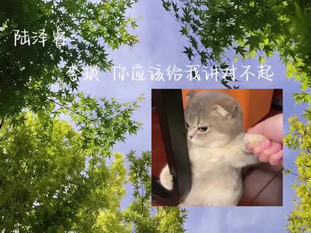 李琰:你不愿意回,就带在这里吧 陆泽睿:不要,妈妈!#暗河长明by冷山就木 #陆泽睿 #李琰陆溓宁