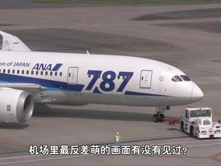 小小飞机牵引车,究竟有多贵?又是如何做到拉动百吨重的飞机的? #飞机 #客机 #飞机牵引车 #飞机倒车 #青年创作者扶持计划