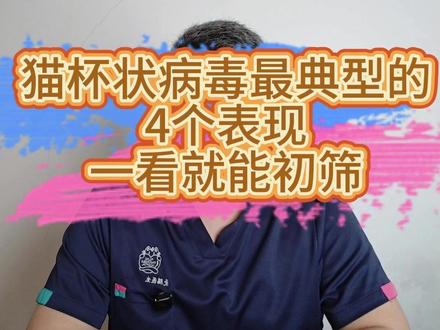 猫杯状病毒最典型的4个表现,一看就能初筛 #猫打喷嚏 #猫杯状病毒 #猫咳嗽 #杯状病毒猫咪 #猫口炎