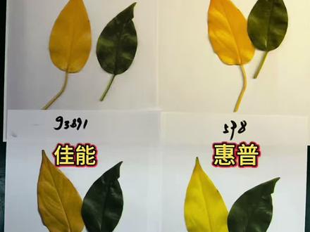 家用打印机如何选?今天我们拿四台销量比较大的机型作对比,看看你更喜欢哪一台!#佳能打印机 #惠普打印机 #爱普生打印机 #打印机推荐 #日常分享