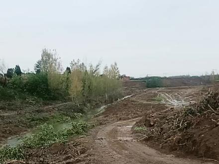 严陵河河道治理,期待治理后有新面貌