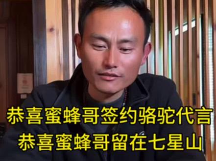 恭喜蜜蜂哥签约骆驼品牌代言和加入七星山老六荒野 #荒野求生#荒野蜜蜂哥