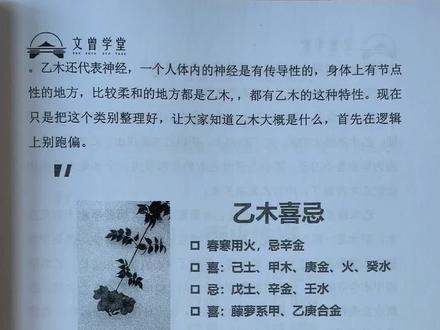 乙木的喜忌。#国学文化 #易学智慧 #国学 #乙木