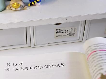 自制可换头陪读老鼠干#抽象#学校日常#阿皮的专属标签 #手工