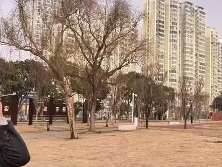 飞了500次终于找到了纸飞机的正确折法#玩具#纸飞机#手工#折纸