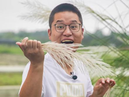 轻盈如烟火 柔软如江南女子 #荻花 #植物品种分享