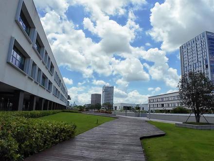 没有围墙的大学 #深圳技术大学 #高考 #沉浸式逛校园