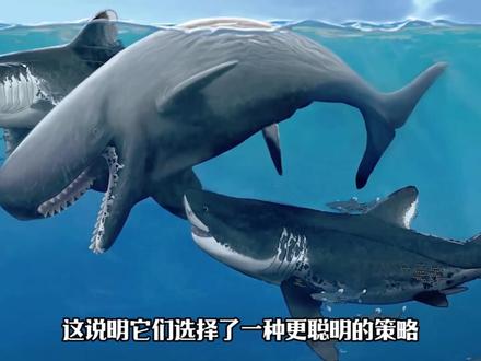 巨齿鲨见了都要绕道走的深海巨兽 #神奇的动物在抖音 #史前巨兽 #古生物 #利维坦鲸 #科普