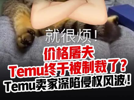 价格屠夫Temu终于被制裁了?Temu卖家深陷侵权风波! #拼多多跨境 #亚马逊 #Temu #紫鸟浏览器 #跨境电商