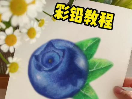 彩铅手绘蓝莓教程,易学就会#彩铅 #彩铅手绘 #蓝莓