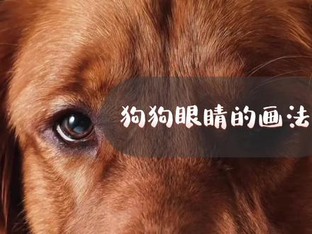 狗狗眼睛怎么画?看完你就学会了👉🏻适合有一些调色基础的同学👩🎓👨🎓欢迎👏🏻 #丙烯画教程 #狗狗眼睛画法#原创手绘#居家画画#宠物画像 @思妹儿 @抖音小助手