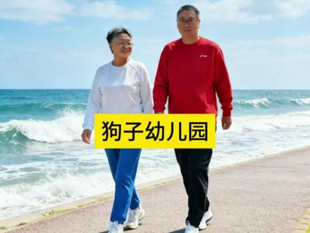 上海:狗子都开始上幼儿园了