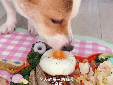 哦莫莫!小狗也能吃巨峰葡萄🍇#宠物配餐