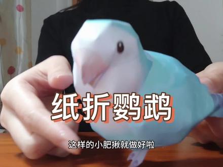 纸折鹦鹉技巧分享#手工diy #鹦鹉 #小动物折纸
