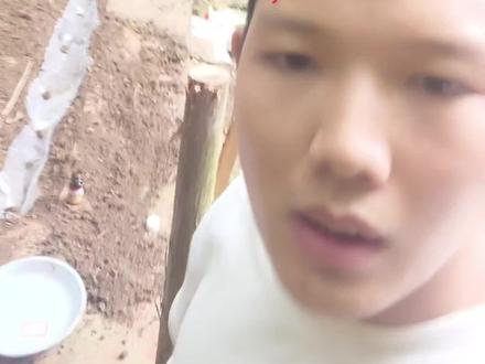 我的红娘多王群合并技术公开,新手朋友们可以参考参考。