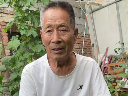 你家菜园是不是都被蜗牛吃掉了?今天分享一招解决菜地里蜗牛横行的小妙招#我的乡村生活 #新农人计划 #抖音助农 #农村菜园 #我的小菜园 #新农人计划2022#来抖音学农技#阳台种菜#种植小技巧