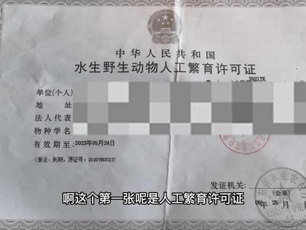 相关证件,持证合法饲养。现在在一些地区已经开始实行“标识卡”了,以后应该会全国推广,我们只需要有这个标识卡就可以了。