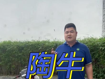 陶牛星空牛顶配版#蓝德7280s #全顺2.0电机#性价比高的电动车推荐 #性价比超高 电动车